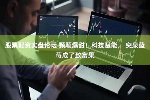股票配资实盘论坛 颗颗爆甜！科技赋能， 突泉蓝莓成了致富果