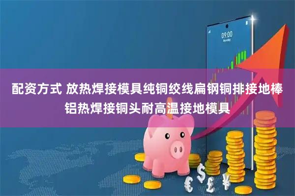 配资方式 放热焊接模具纯铜绞线扁钢铜排接地棒铝热焊接铜头耐高温接地模具